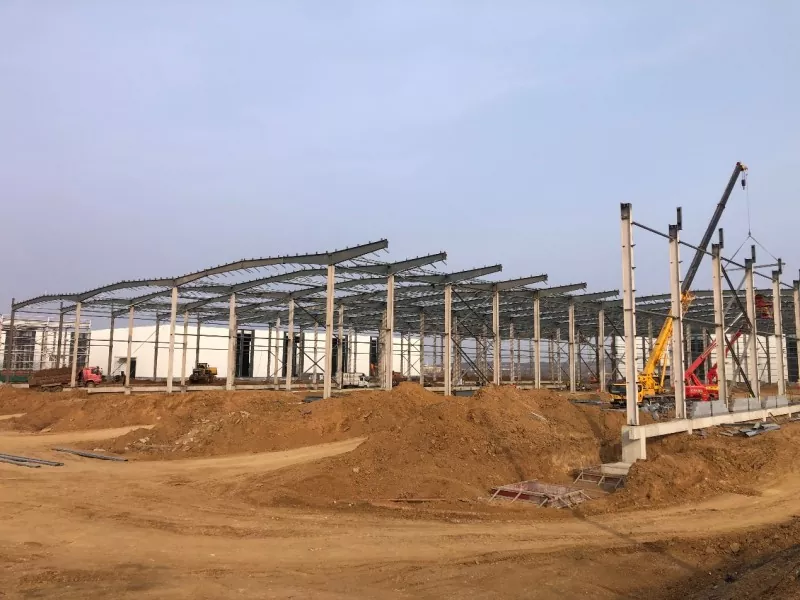 Steel Frame Cattle Farm Construction